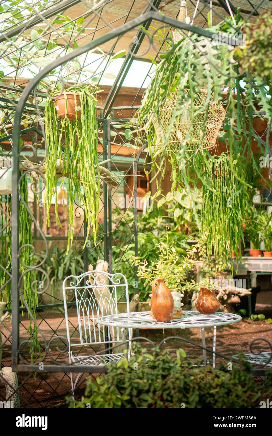 Une table et des chaises en bois sont placées parmi de nombreuses plantes vertes dans un cadre de jardin printanier animé. Banque D'Images