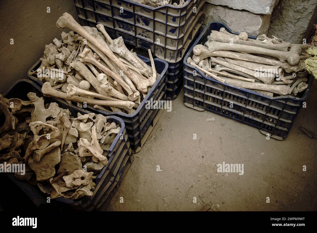 Ossements humains de tombes anciennes en Egypte Banque D'Images