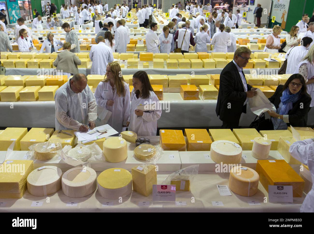 26/06/16 il faut plus de 250 juges pour se frayer un chemin à travers plus de 5 000 fromages présentés lors des International Cheese Awards annuels, Being Banque D'Images