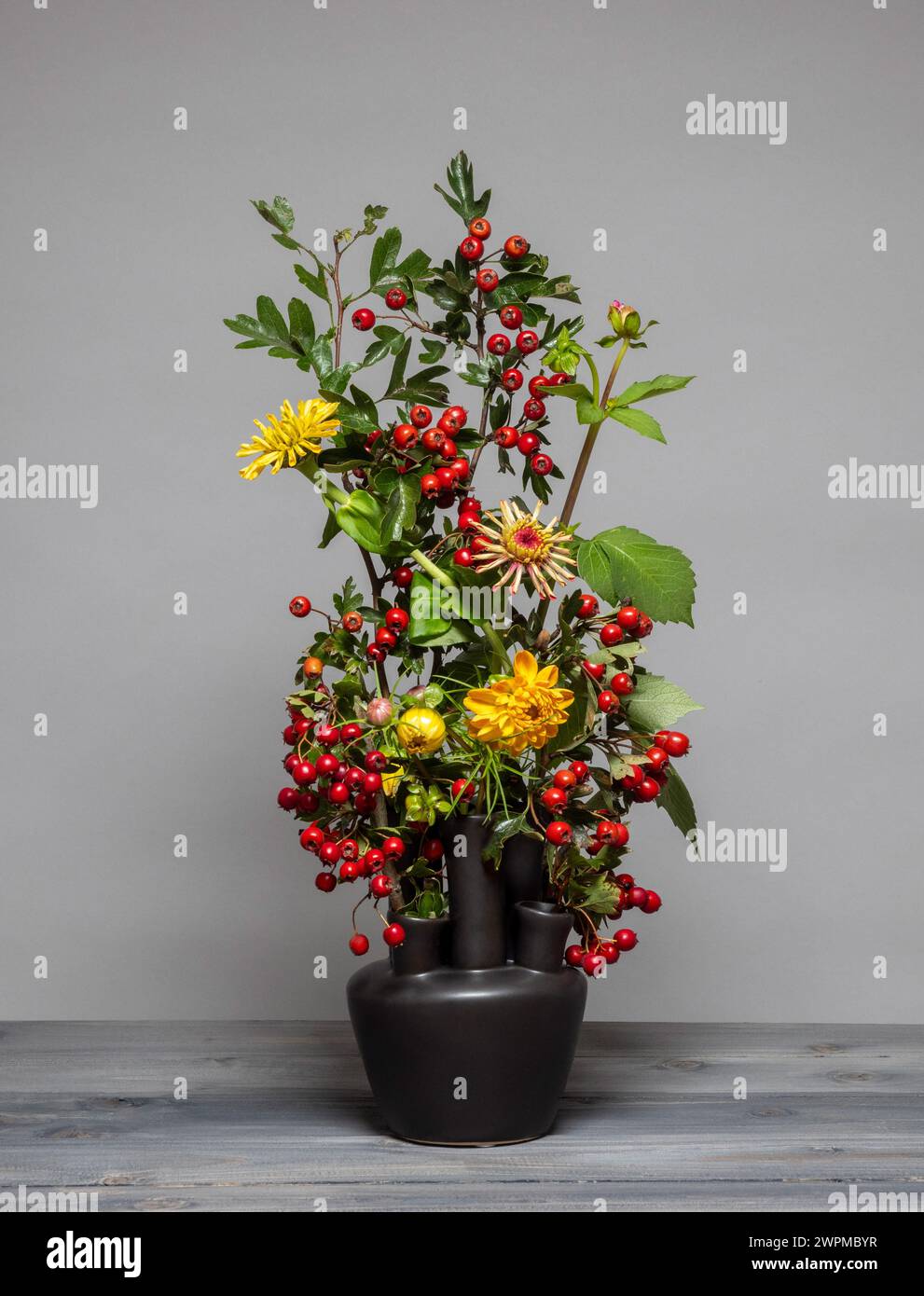 Tiges d'aubépine fourragères portant des baies rouges disposées dans un vase noir avec des dahlias et des zinnias. Banque D'Images