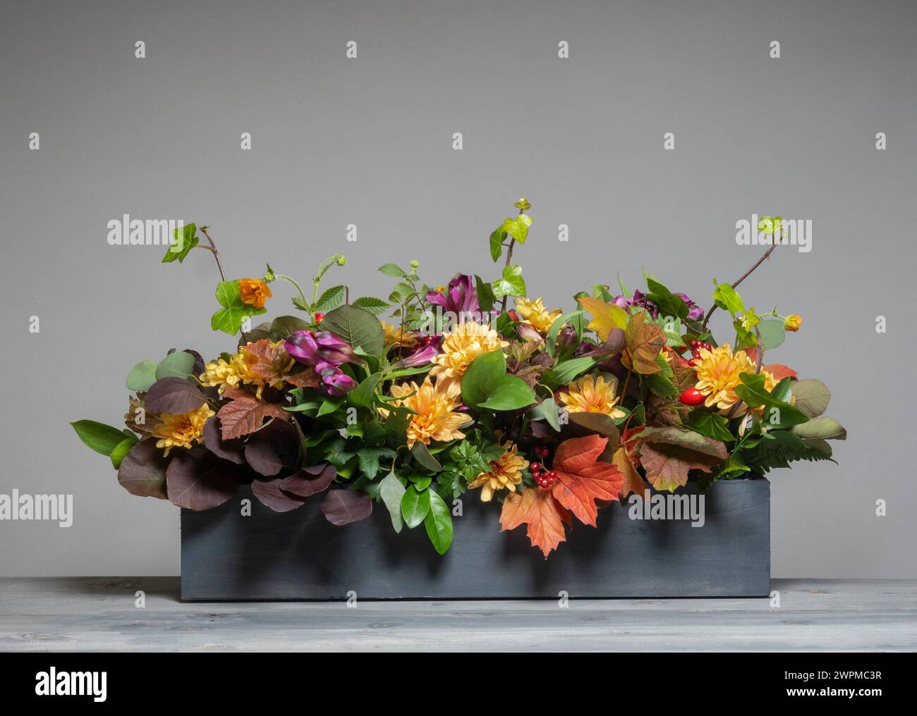 Arrangement floral horizontal de thème d'automne avec feuillage fourré et fleurs dans une longue boîte en bois gris vu sur un fond gris. Banque D'Images