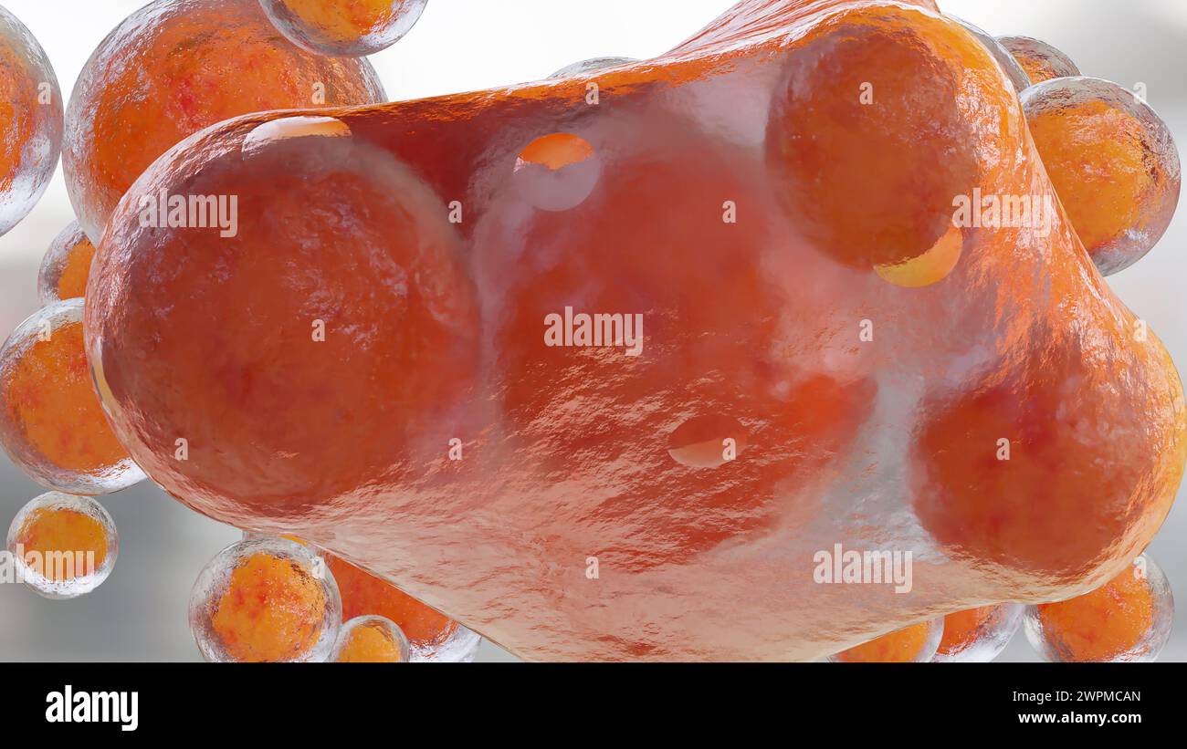 Perte de poids. Brûlure de graisse dans le tissu humain, tissu conjonctif adipeux, cellules graisseuses brûlant au microscope, lipocytes, rendu 3D réaliste Banque D'Images