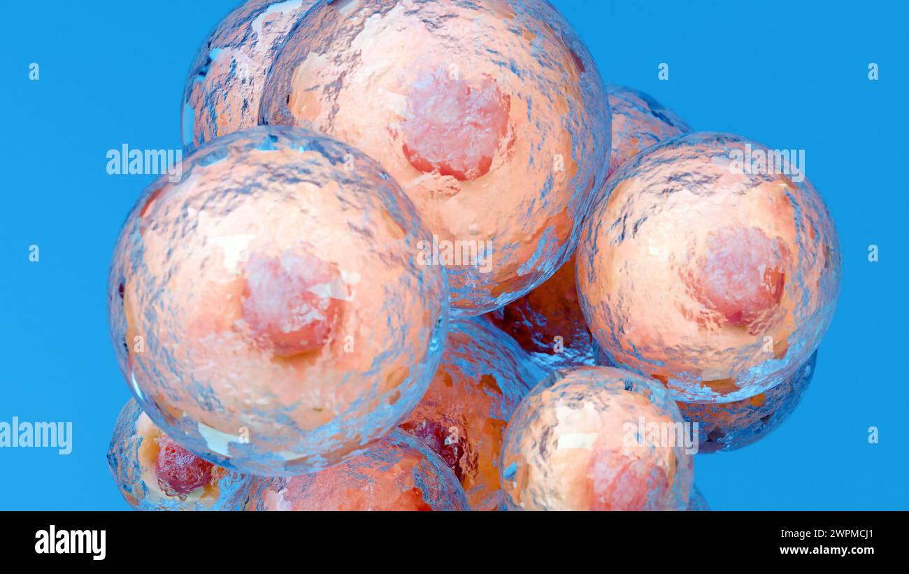 Perte de poids. Brûlure de graisse dans le tissu humain, tissu conjonctif adipeux, cellules graisseuses brûlant au microscope, lipocytes, rendu 3D réaliste Banque D'Images