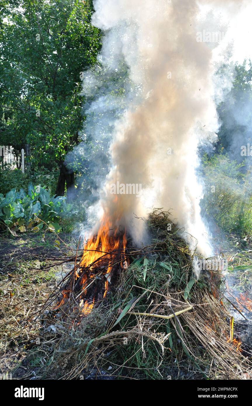 travail saisonnier dans le potager - brûler les mauvaises herbes séchées - pollution de l'environnement Banque D'Images