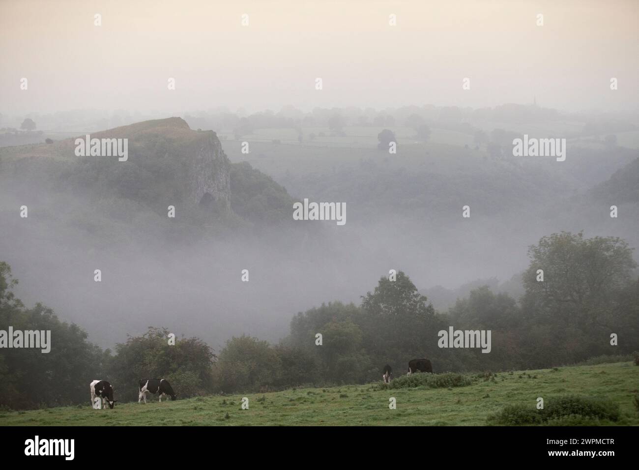 21/09/16 avec l'équinoxe d'automne marquant le premier jour de l'automne, Thor's Cave émerge à travers la brume dans la région de Manifold Valley du White Peak Banque D'Images