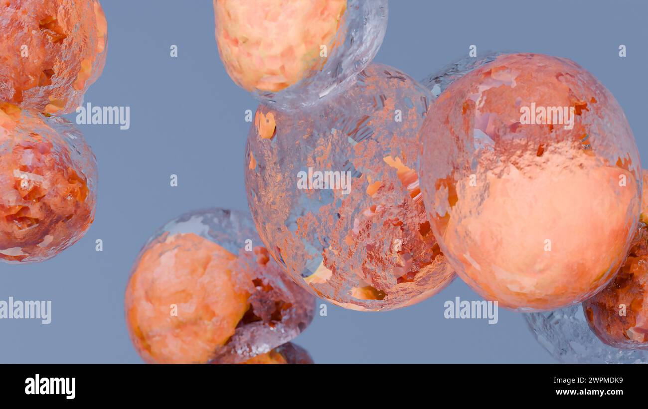 Perte de poids. Brûlure de graisse dans le tissu humain, tissu conjonctif adipeux, cellules graisseuses brûlant au microscope, lipocytes, rendu 3D réaliste Banque D'Images