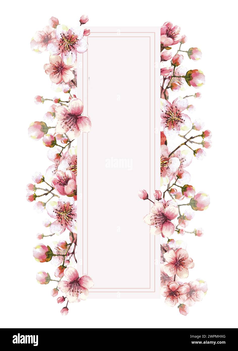 Une branche en fleurs de l'arbre de printemps, sakura, bourgeons de cerisier japonais et fleurs modèle aquarelle Springtime avec espace pour le texte pour votre bannière de carte Banque D'Images