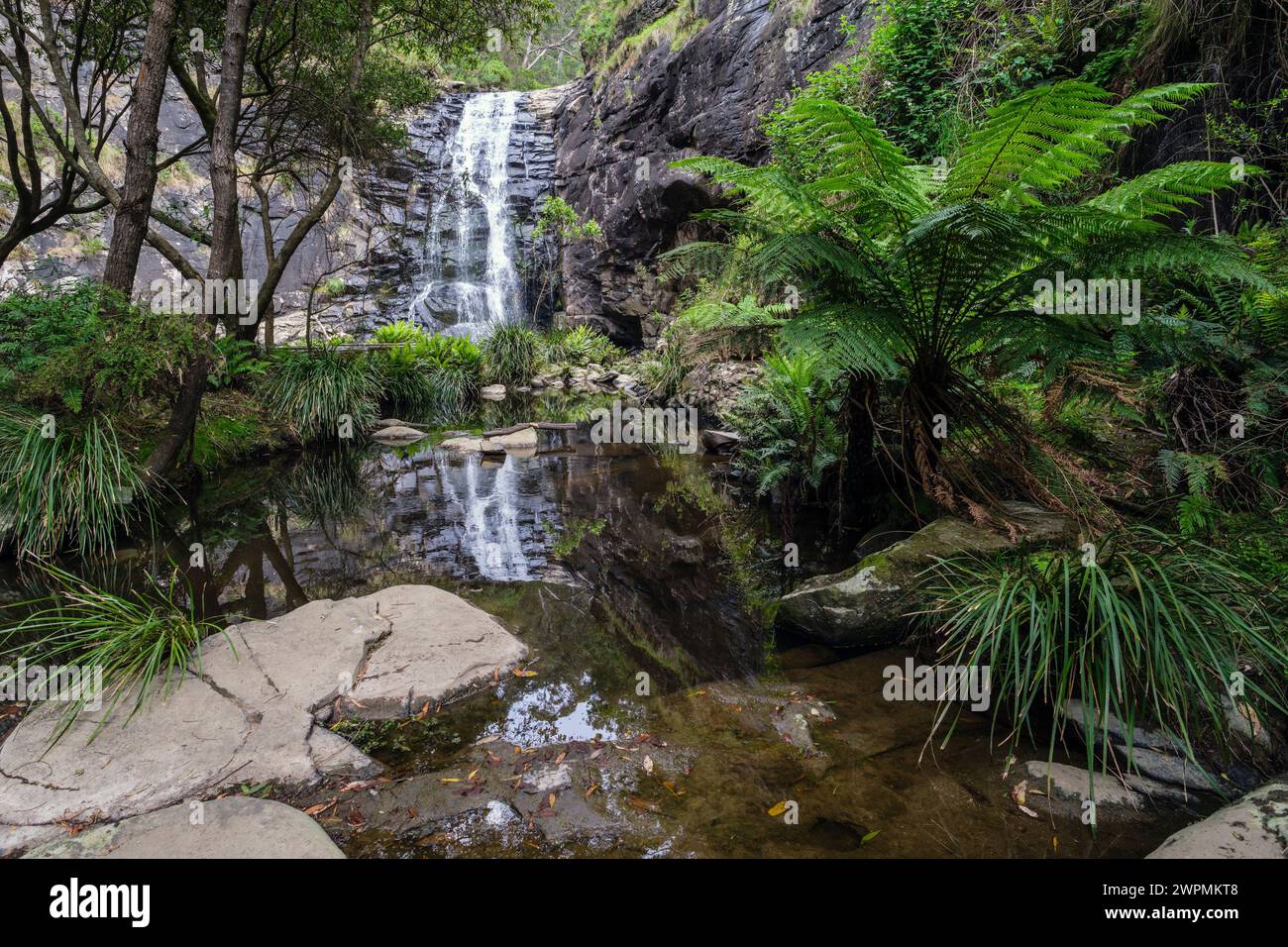 Chutes de Sheoak, parc national de Great Otway, près de Lorne, Victoria, Australie Banque D'Images
