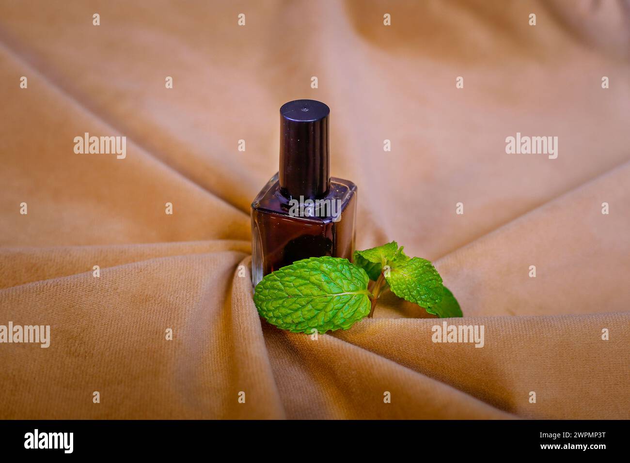 Ladite vue de bouteille avec huile essentielle d'huile de menthe ou de l'eau tonique sur fond brun Banque D'Images