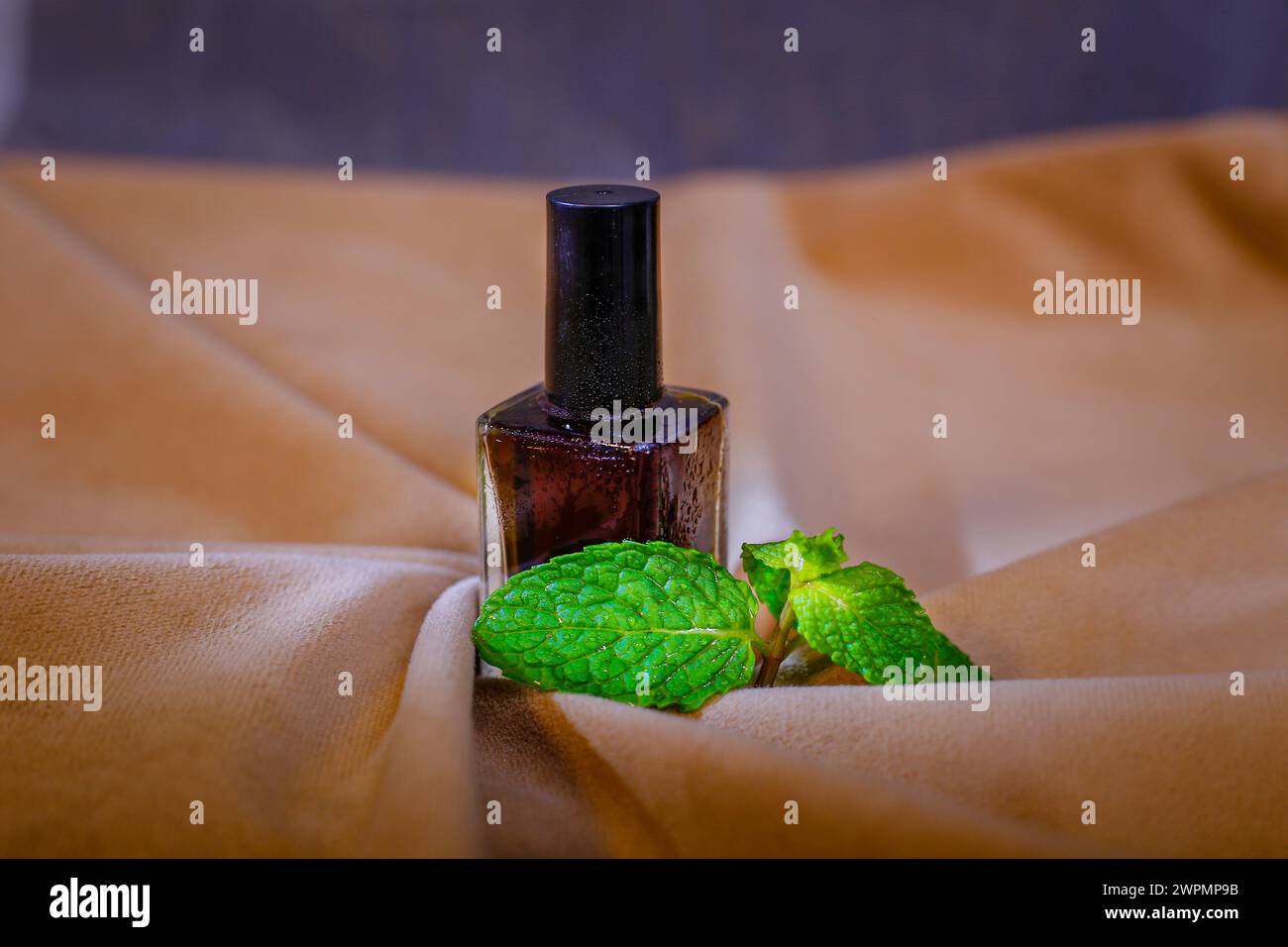 Vue de dessus de bouteille avec huile essentielle de menthe ou eau tonique sur fond brun Closup avec feuille de menthe Banque D'Images