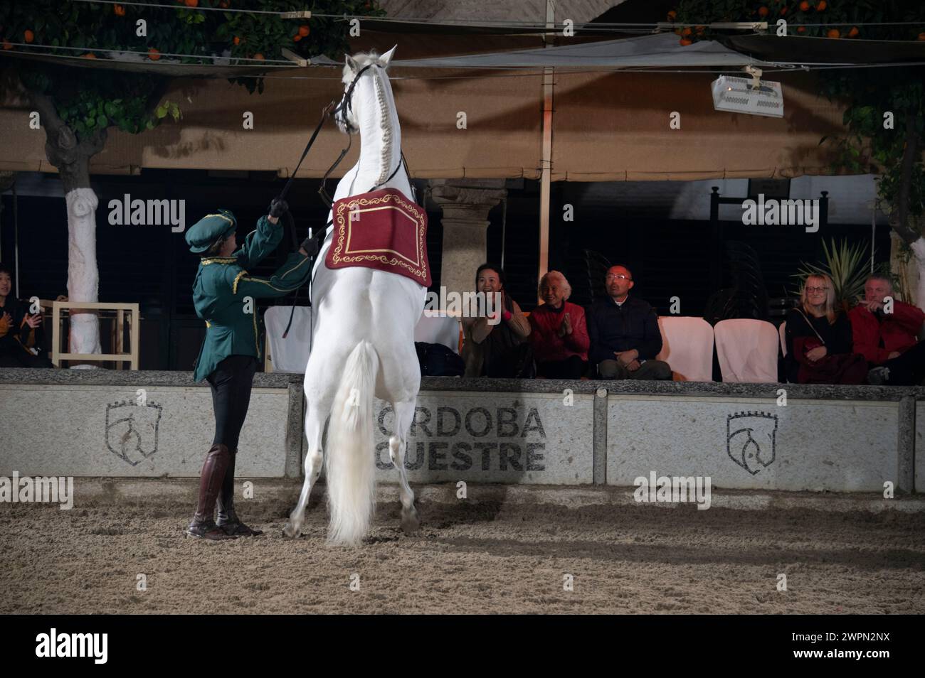 Las Caballerizas Reales de Cordoue (les écuries royales de Cordoue) Un cavalier vêtu d'un uniforme d'époque vert, encourageant son cheval à reculer sur son hin Banque D'Images