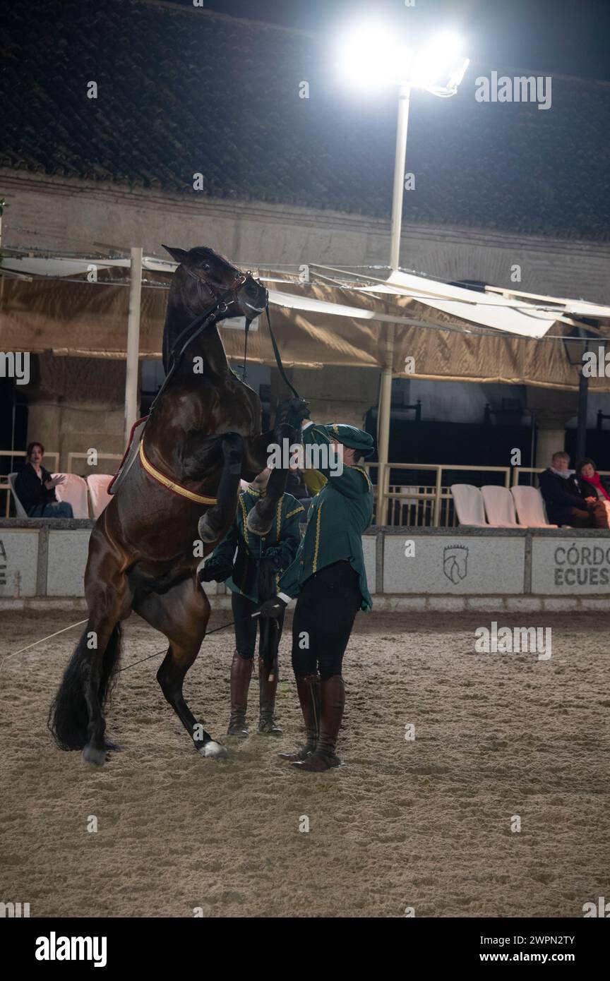 Las Caballerizas Reales de Cordoue (les écuries royales de Cordoue) deux cavaliers vêtus d'un uniforme d'époque vert, encourageant leur cheval à effectuer un Banque D'Images