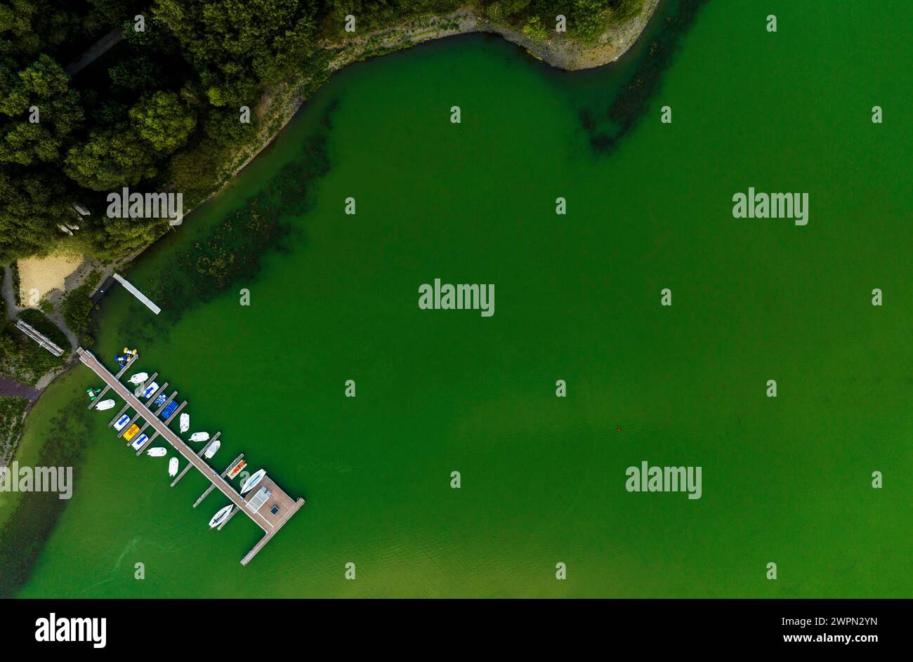 Panorama photo drone, barrage de Zeulenroda-Triebes, Zeulenroda, Thuringe, Allemagne Banque D'Images