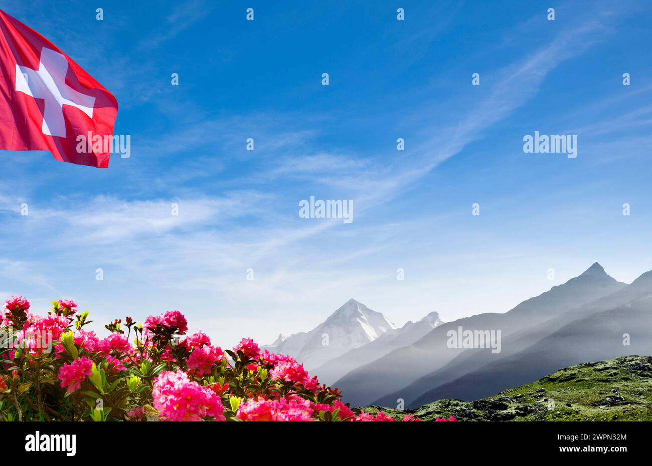 Montagnes suisses avec drapeau suisse et roses alpines [M] Banque D'Images
