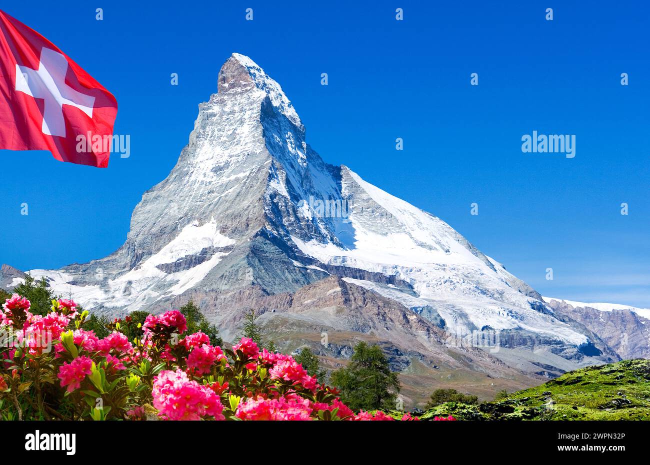 Pic de montagne, Cervin avec drapeau suisse et roses alpines [M] Banque D'Images