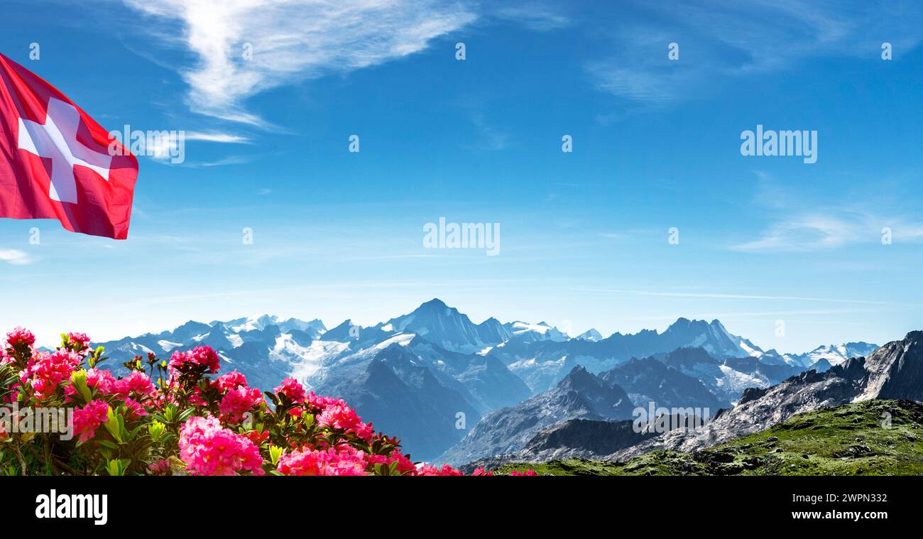Montagnes suisses avec drapeau suisse et roses alpines [M] Banque D'Images
