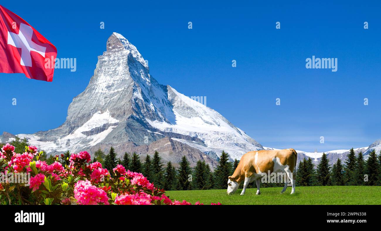 Pic de montagne, Cervin avec drapeau suisse et vache [M] Banque D'Images