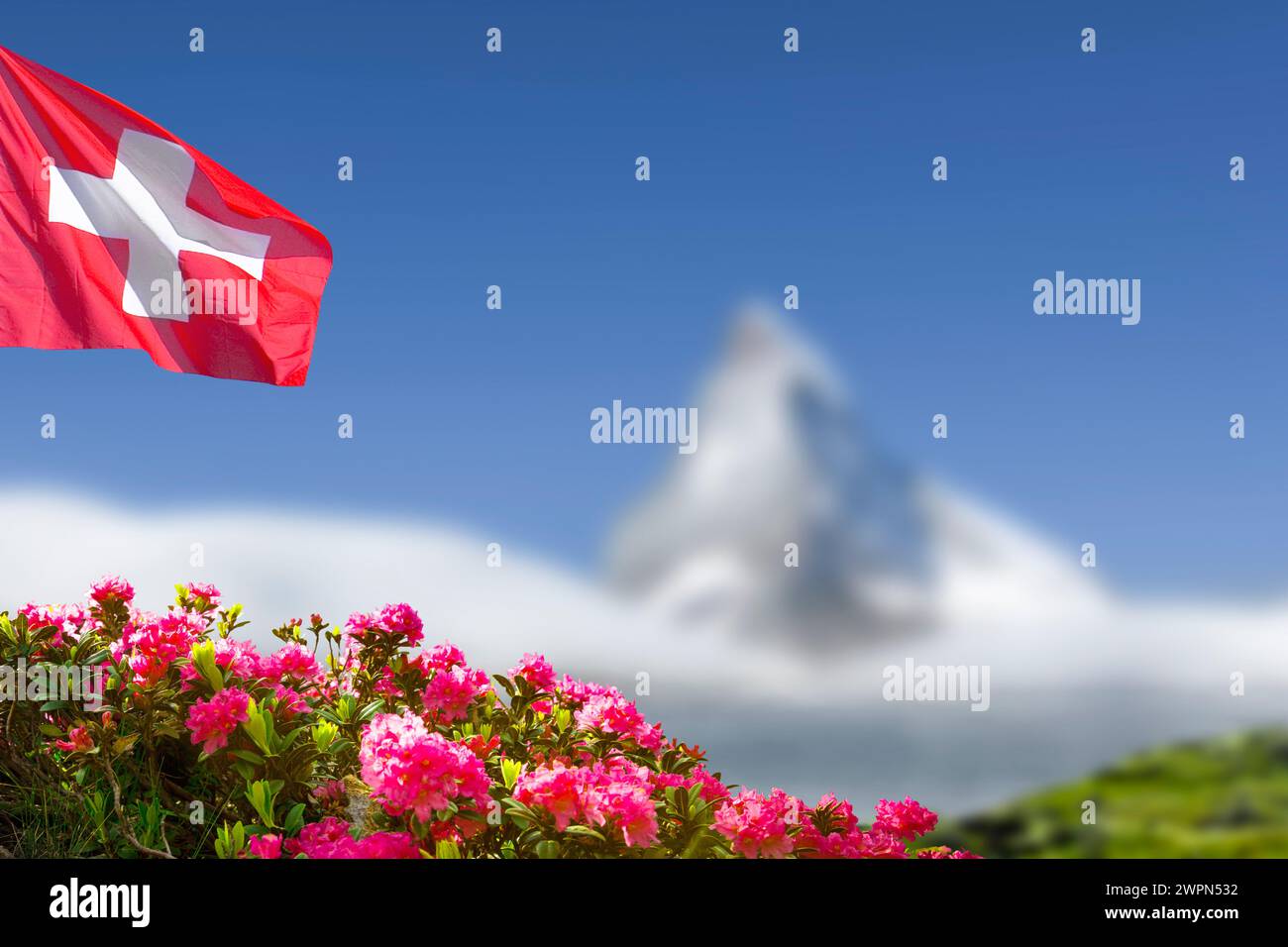 Drapeau suisse avec roses alpines et Cervin Banque D'Images