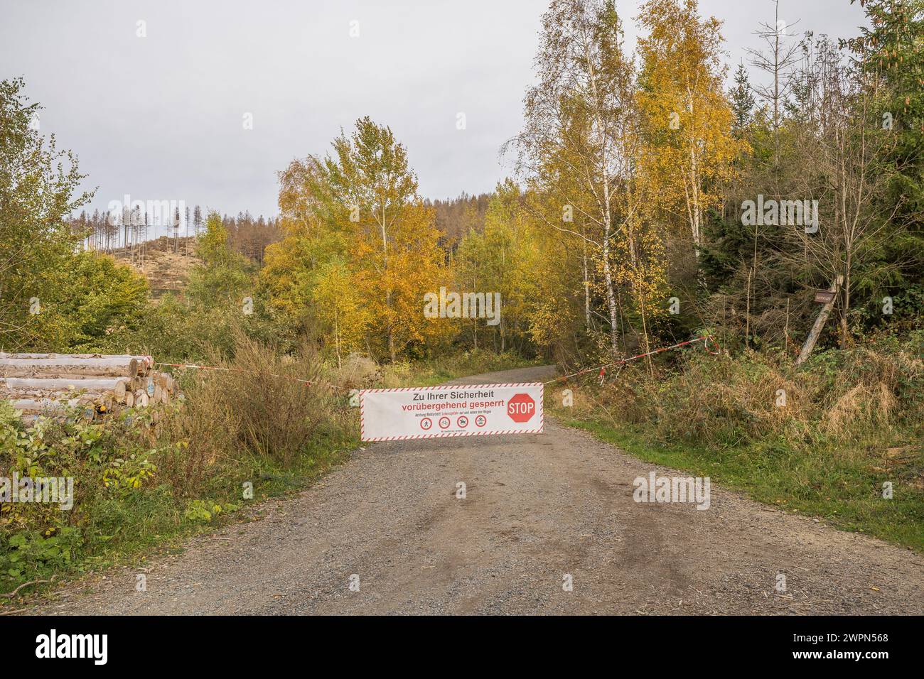 Allemagne, basse-Saxe, district de Goslar, fermeture de la route dans le Parc naturel du Harz Banque D'Images
