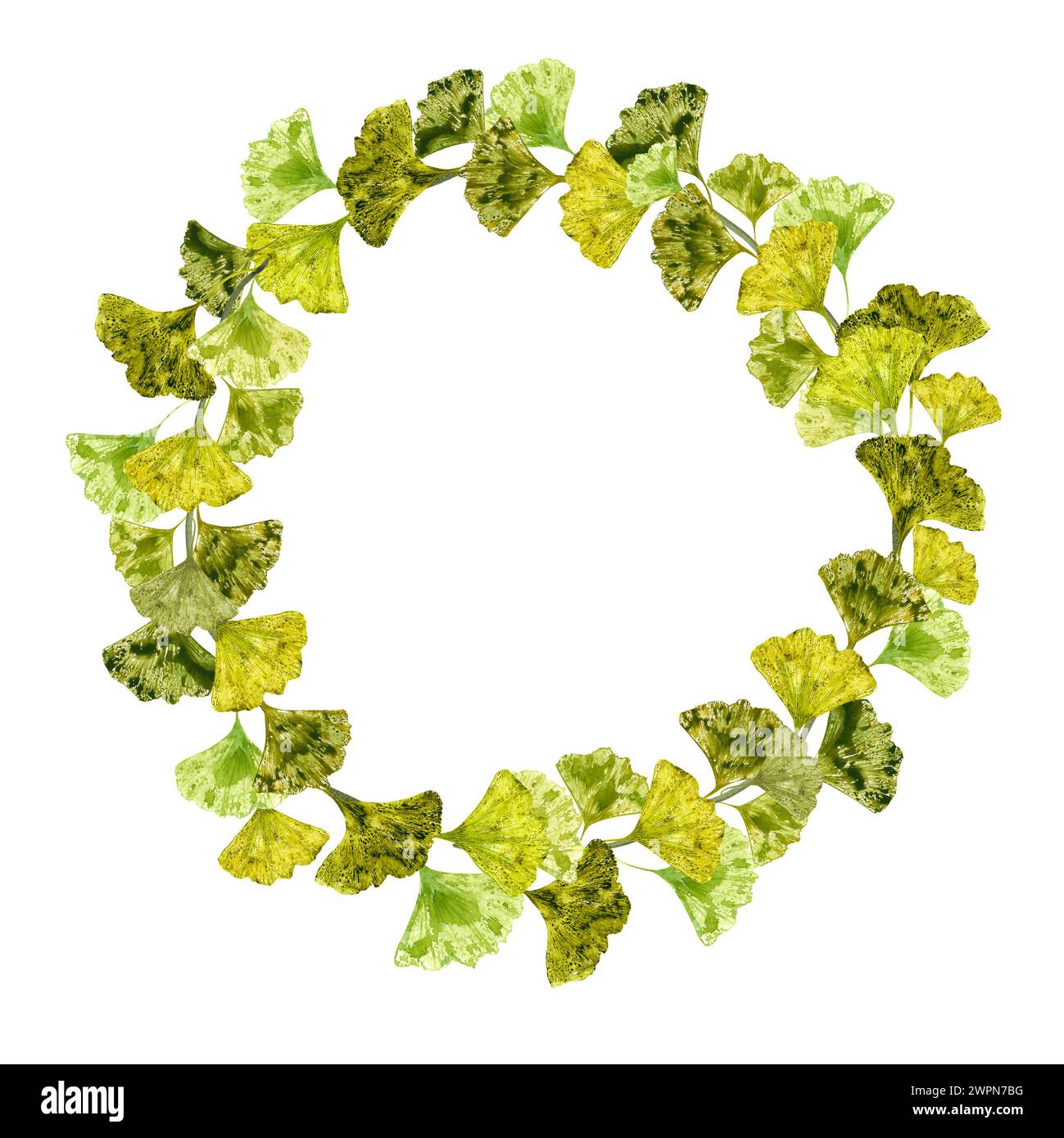 Empreinte de feuille jaune verte. Couronne avec feuilles. Carte design à la mode avec espace de copie pour le texte. Feuille abstraite Ginkgo. Gingko, biloba. Banque D'Images