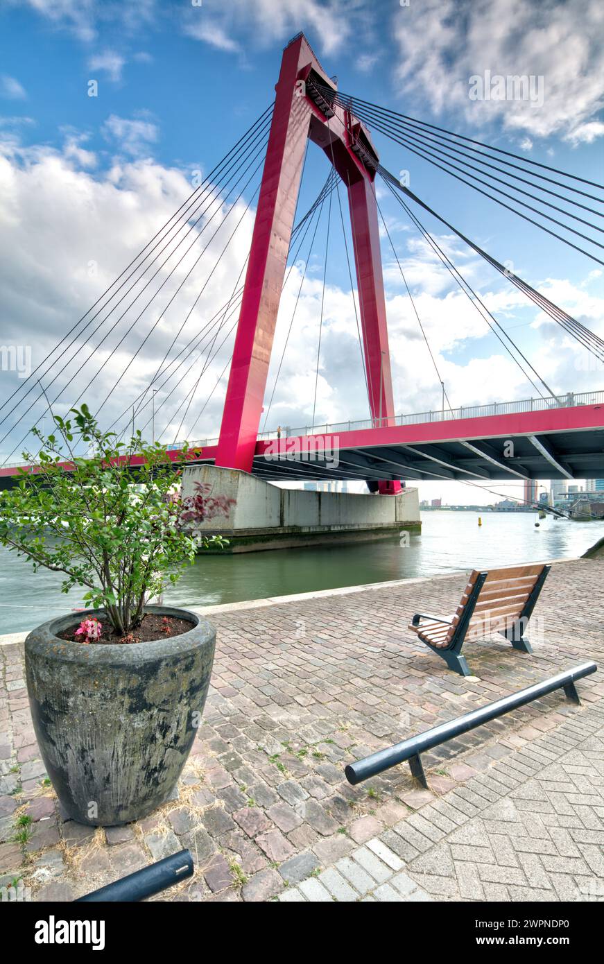 Willemsbrug, Willems Bridge, Nieuwe Maas, pont à haubans, centre-ville, vue sur la ville, Rotterdam, pays-Bas, Banque D'Images