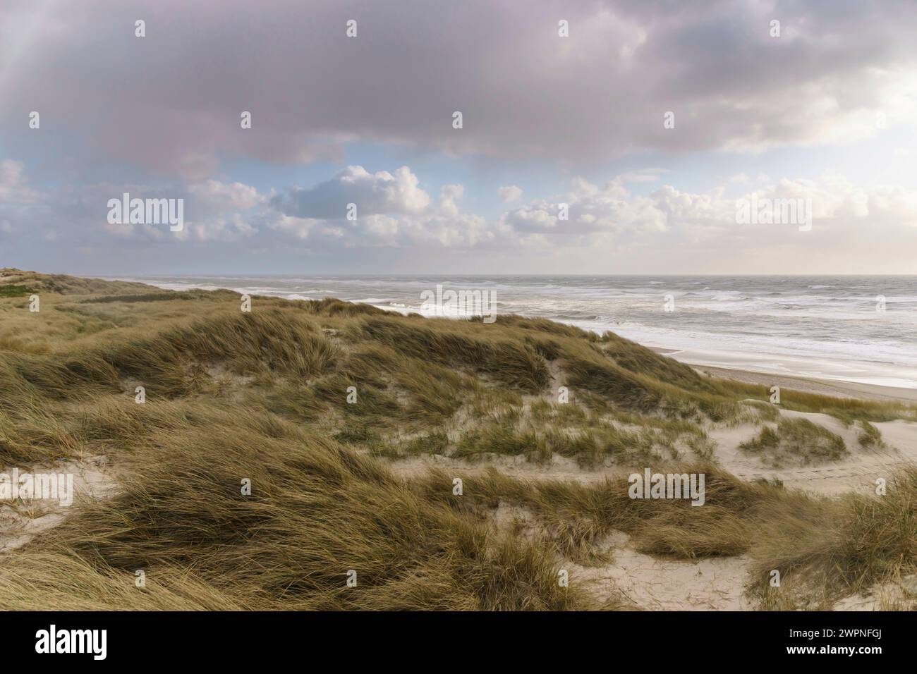 Paysage de dunes avec vue sur les vagues et la mer Banque D'Images