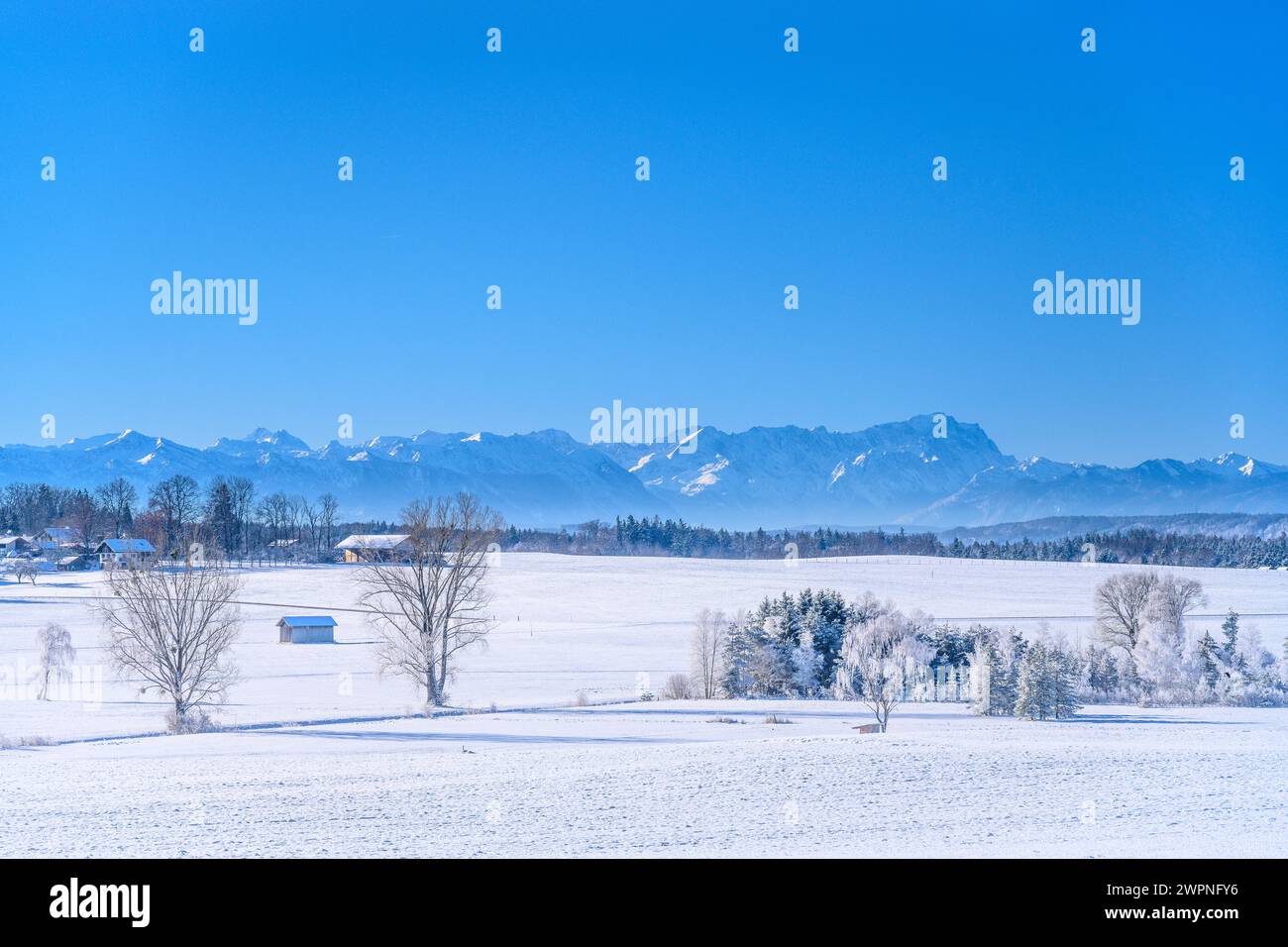 Allemagne, Bavière, Tölzer Land, Egling, district Ergertshausen, paysage hivernal contre les Alpes, vue près de Schönberg Banque D'Images