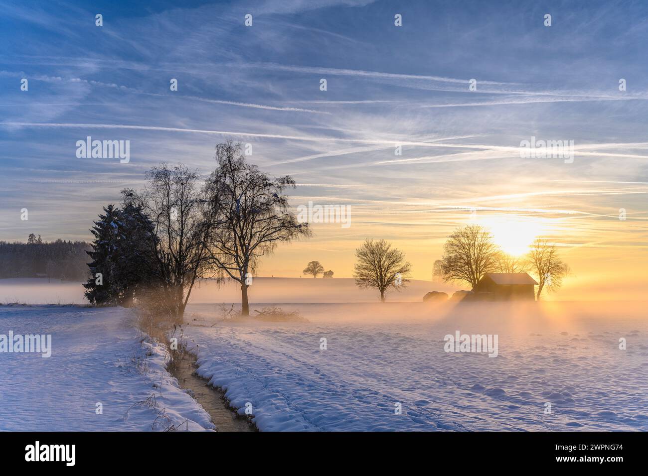 Allemagne, Bavière, Tölzer Land, Dietramszell, district Ascholding, paysage d'hiver au coucher du soleil Banque D'Images