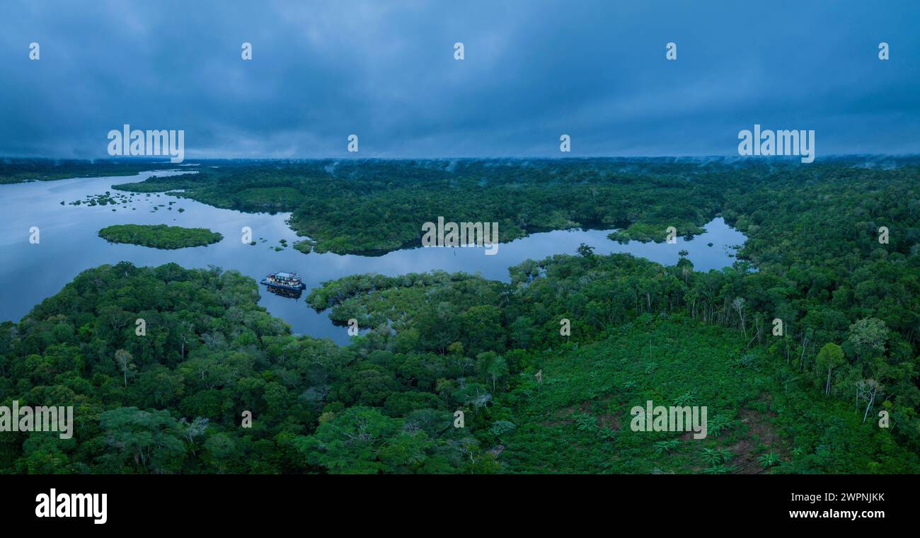 Forêt tropicale brésilienne, Amazone, Brésil Banque D'Images