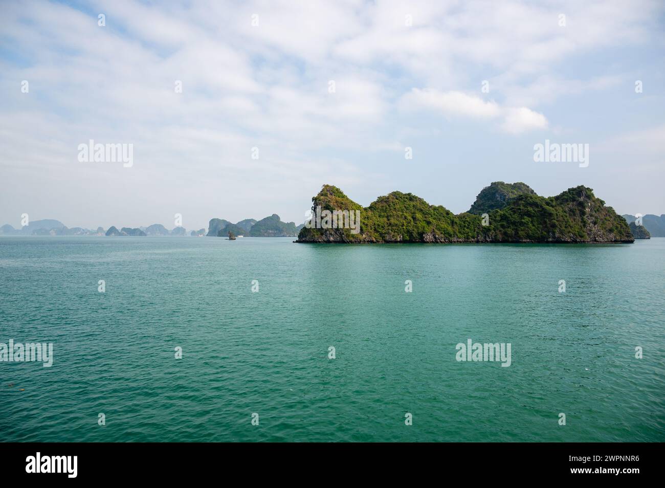 Paysage de montagne calcaire à Halong Bay, nord du Vietnam. Banque D'Images