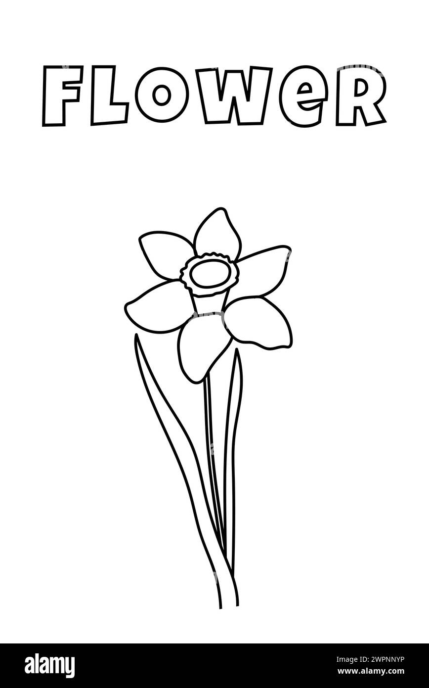 Coloriage avec des lignes épaisses pour les plus petits, Narcisse Coloring page Illustration de Vecteur