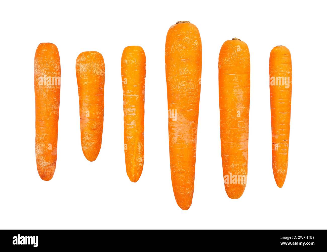 chemin des carottes isolé sur blanc Banque D'Images