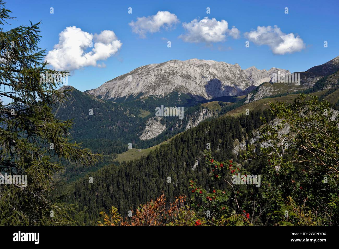 Allemagne, Bavière, haute-Bavière, Berchtesgadener Land, Schönau am Königssee, Gotzenalm, vue de Feuerpalfen, de gauche à droite, Jenner, Hohes Brett Banque D'Images