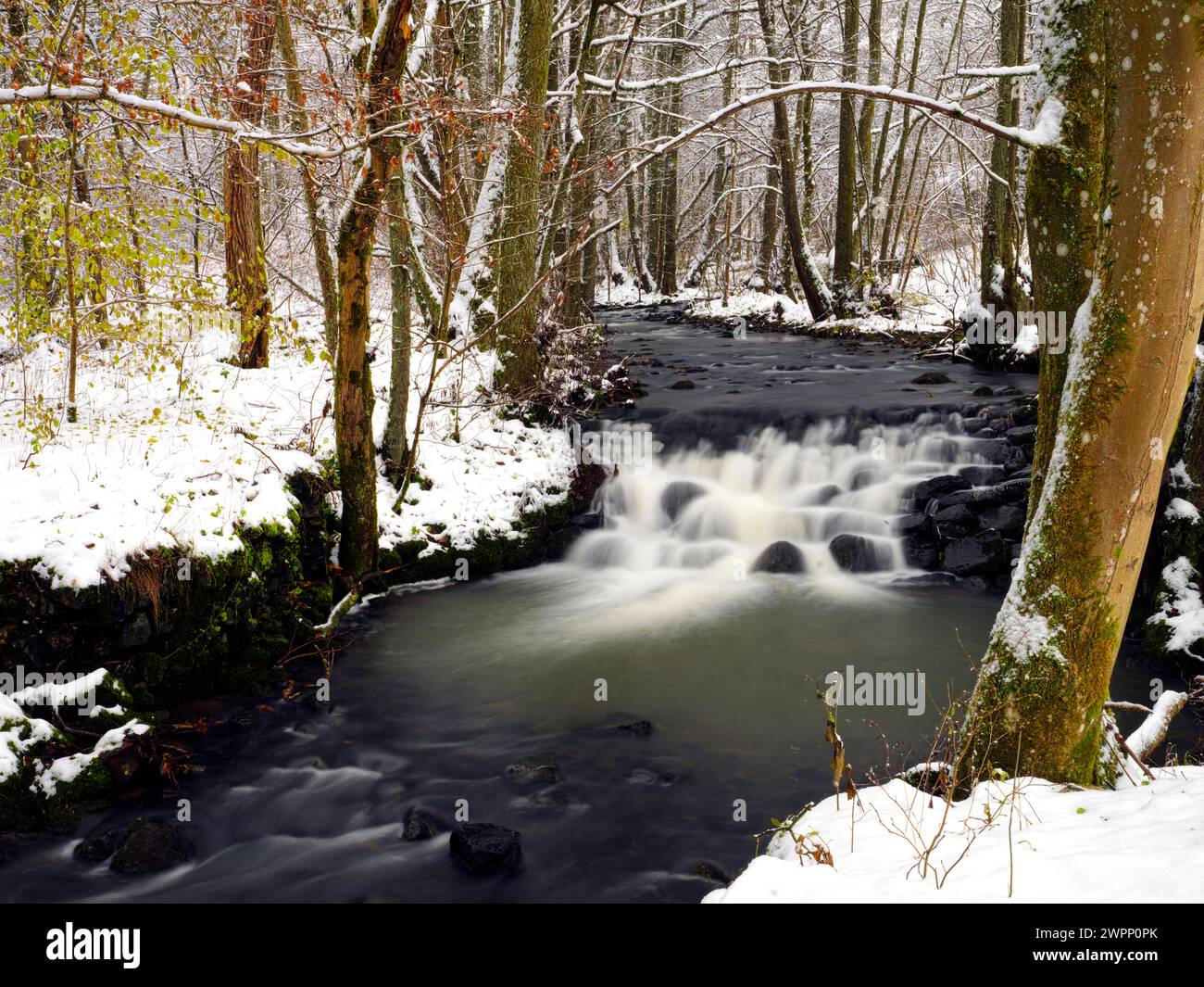 Europe, Allemagne, Hesse, Hesse centrale, Parc naturel de Lahn-Dill-Bergland, réserve naturelle 'Aubachtal' près de Haiger, hiver, cascade Banque D'Images