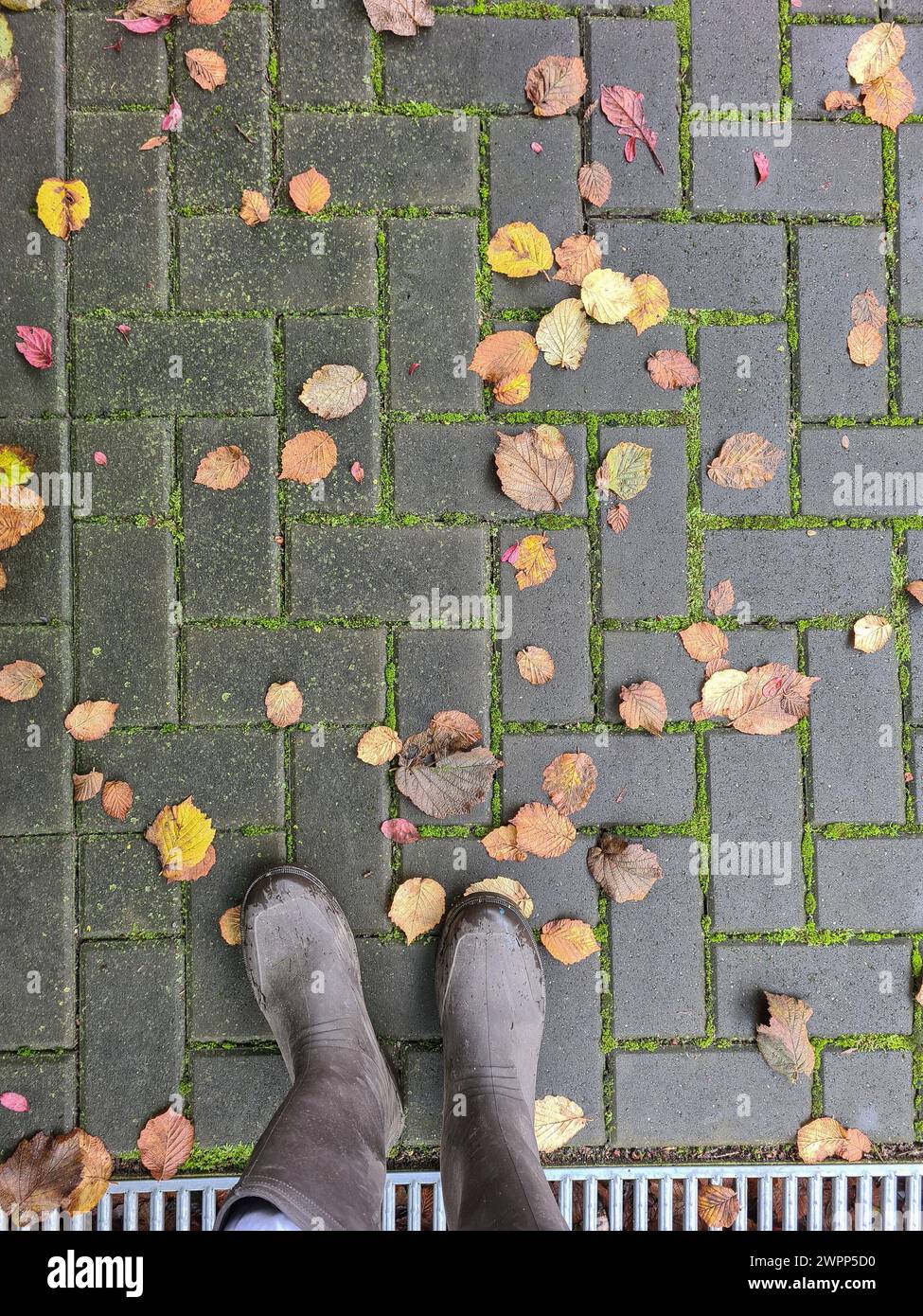 Des feuilles d'automne colorées reposent sur des pavés mousssés, des bottes en caoutchouc au premier plan au bord inférieur de l'image, caillebotis comme une grille de protection s'étend parallèlement à elle Banque D'Images