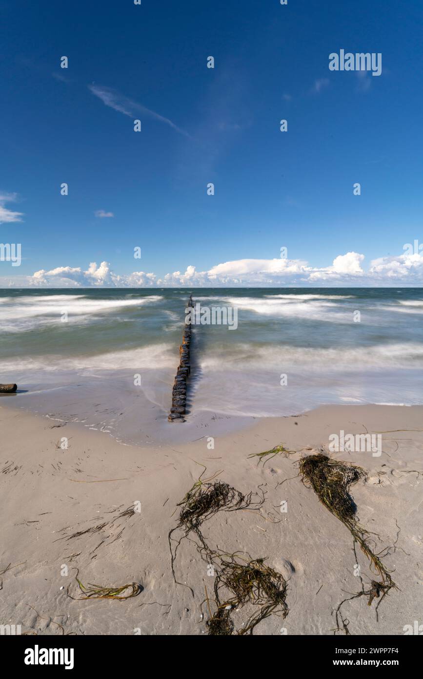 Groynes comme protection côtière sur l'île de Hiddensee, Mecklembourg-Poméranie occidentale, Allemagne Banque D'Images