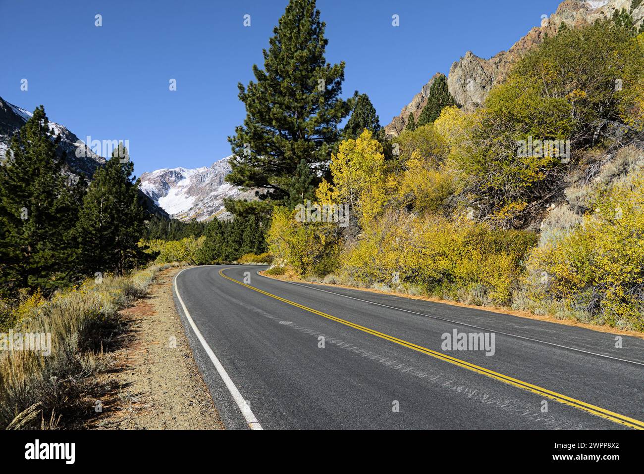 Route pavée courbe mène à la montagne au loin en automne dans le Nevada. Banque D'Images