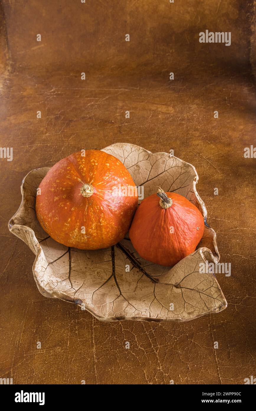 Nature morte automnale, deux citrouilles dans un bol Banque D'Images