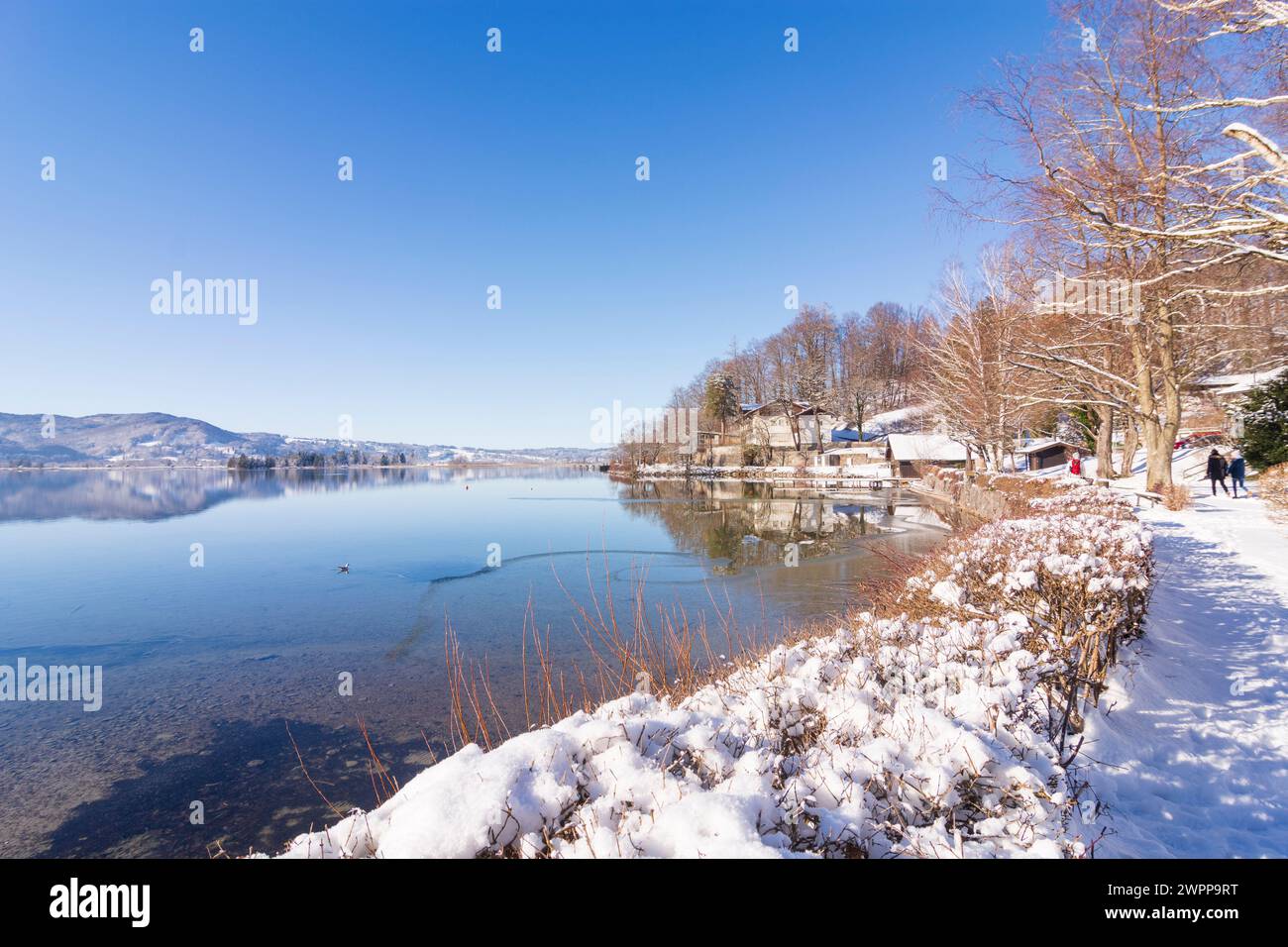 Kochel am See, lac Kochelsee, neige, Tölzer Land, haute-Bavière, Bavière, Allemagne Banque D'Images