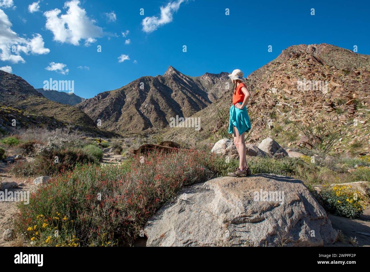 Anza Borrego Desert State Park, une fille avec des tresses et un chapeau de soleil se tient sur un grand rocher donnant sur Borrego Palm Canyon vers les montagnes, randonnée Banque D'Images