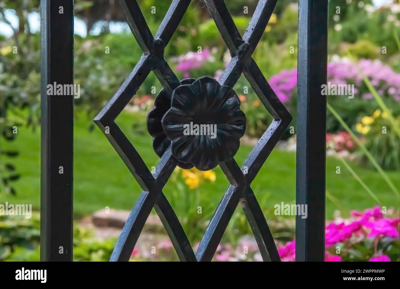 Jardin de fleurs au-delà d'un treillis de fer forgé à Panola Valley Gardens ; un lieu de mariage, à Lindstrom, Minnesota États-Unis. Banque D'Images