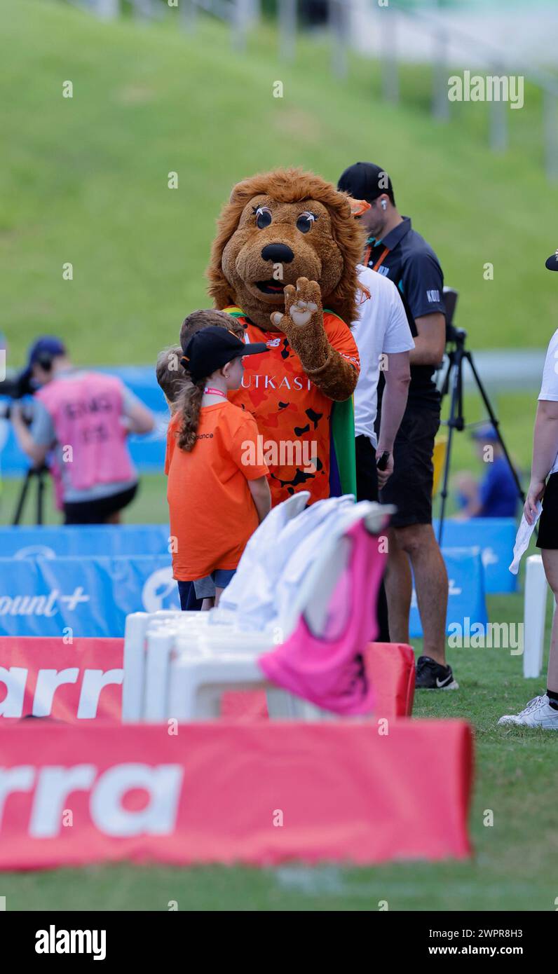 Brisbane, Australie, le 9 mars 2024 : la mascotte du club de Brisbane se joint à l'Australian Professional Leagues (APL) pour poursuivre ses célébrations de la fierté lors du match de Liberty A League entre Brisbane Roar et Central Coast Mariners FC au Ballymore Stadium (Promediapix/SPP) crédit : SPP Sport Press photo. /Alamy Live News Banque D'Images