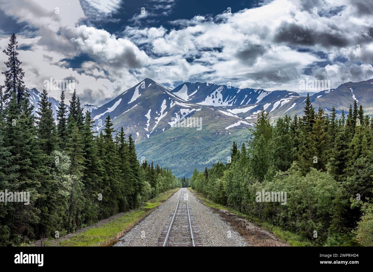 Des voies ferrées droites à travers la nature sauvage de l'Alaska jusqu'au parc national Denali Banque D'Images