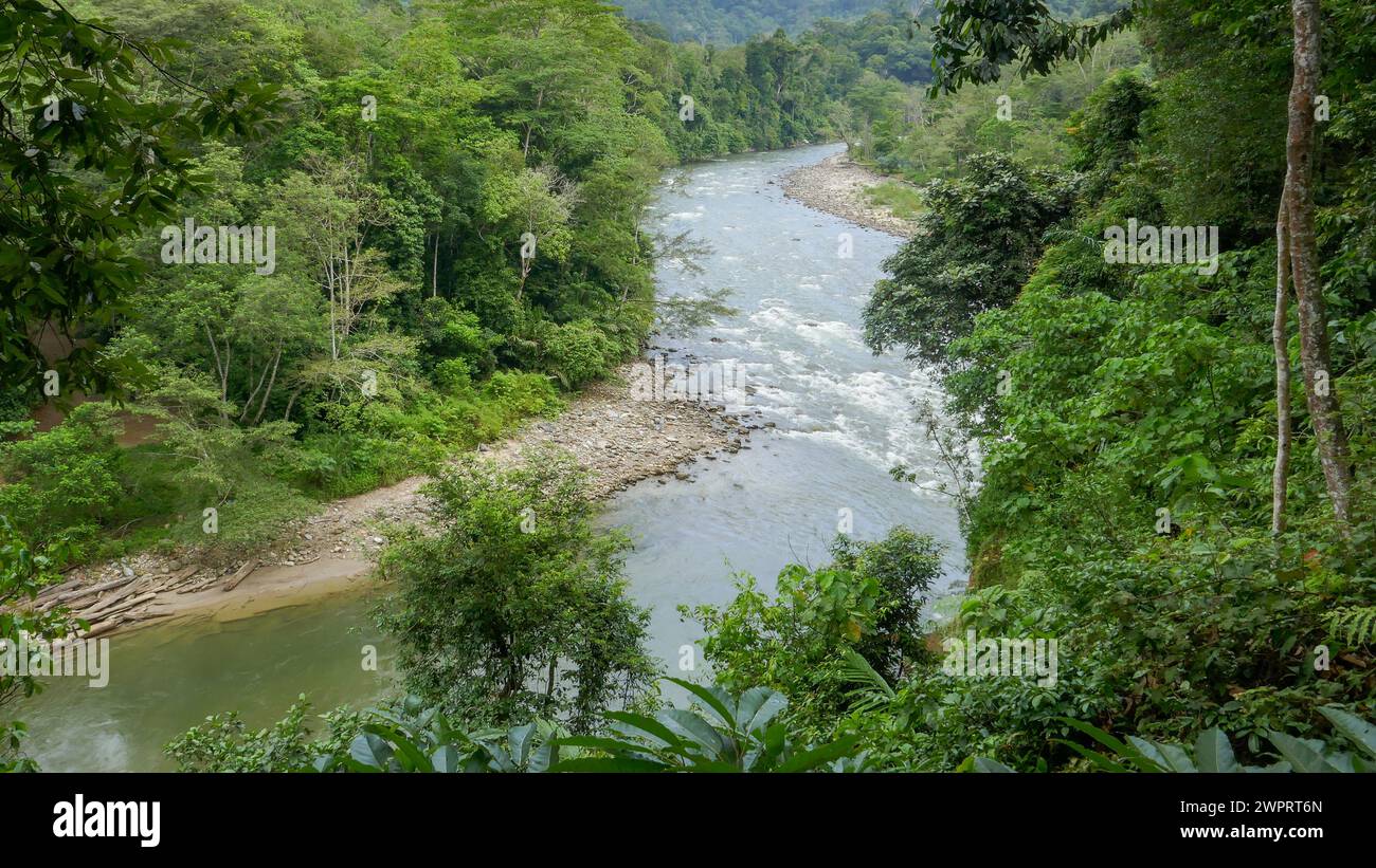 Vue panoramique sur la rivière Alas avec une forêt tropicale dense à Ketambe, parc national Gunung Leuser, nord de Sumatra, Indonésie Banque D'Images