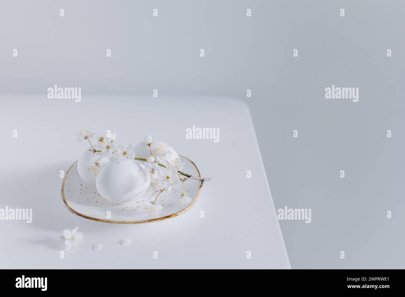 Belle branche avec fleur blanche et oeufs sur fond blanc. Concept minimal. Placer pour le texte. Banque D'Images