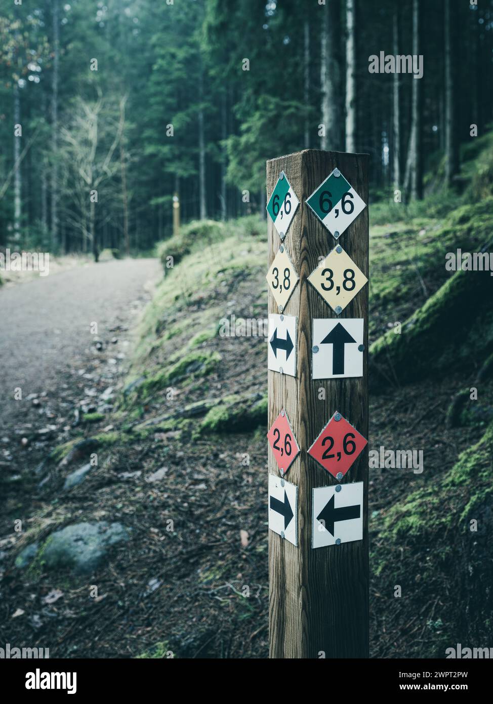 Un panneau en bois avec plusieurs flèches pointant dans différentes directions, indiquant différents sentiers dans la forêt. Banque D'Images