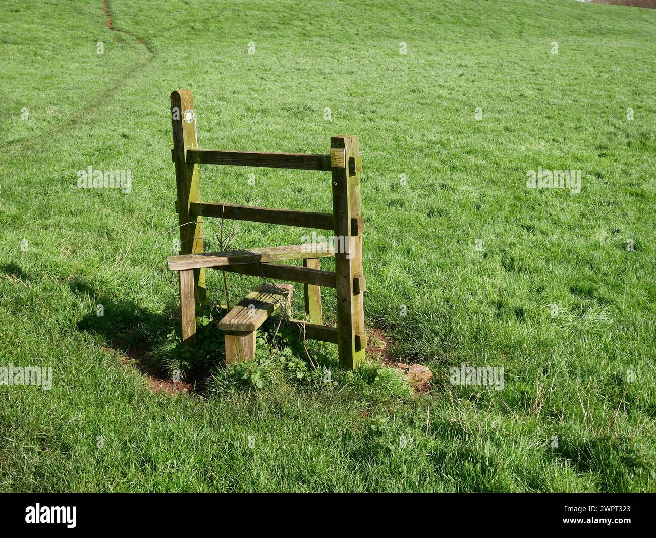 Structure en bois de poteau dans un champ agricole pour faciliter l'accès des marcheurs le long d'un chemin de pied lorsque la clôture pour bétail est en place. Devon, Royaume-Uni Banque D'Images