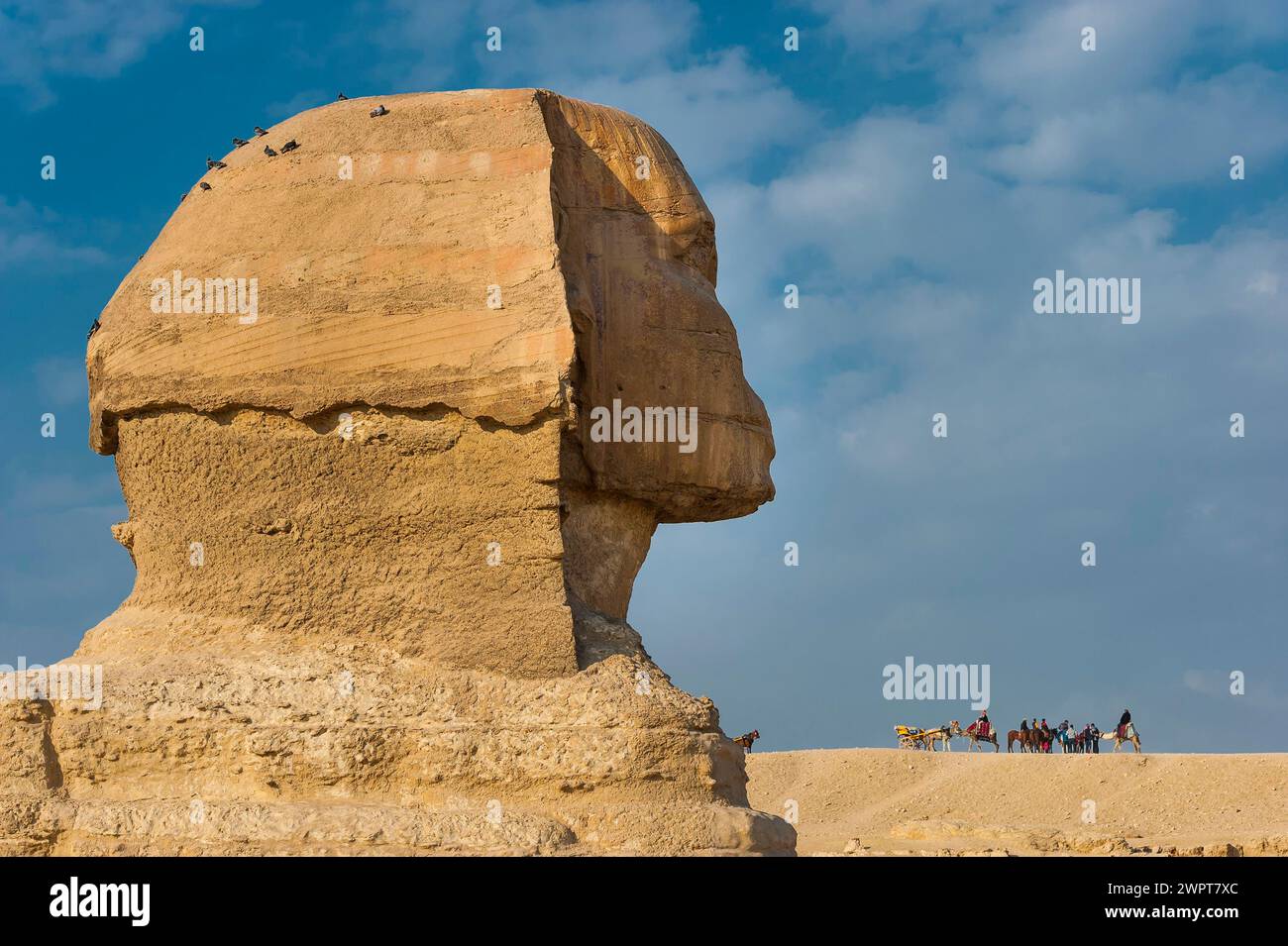 Sphinx de Gizeh, désert, merveille du monde, bâtiment, sculpture, monument, architecture, structure, ancienne, histoire, histoire de la terre, histoire Banque D'Images