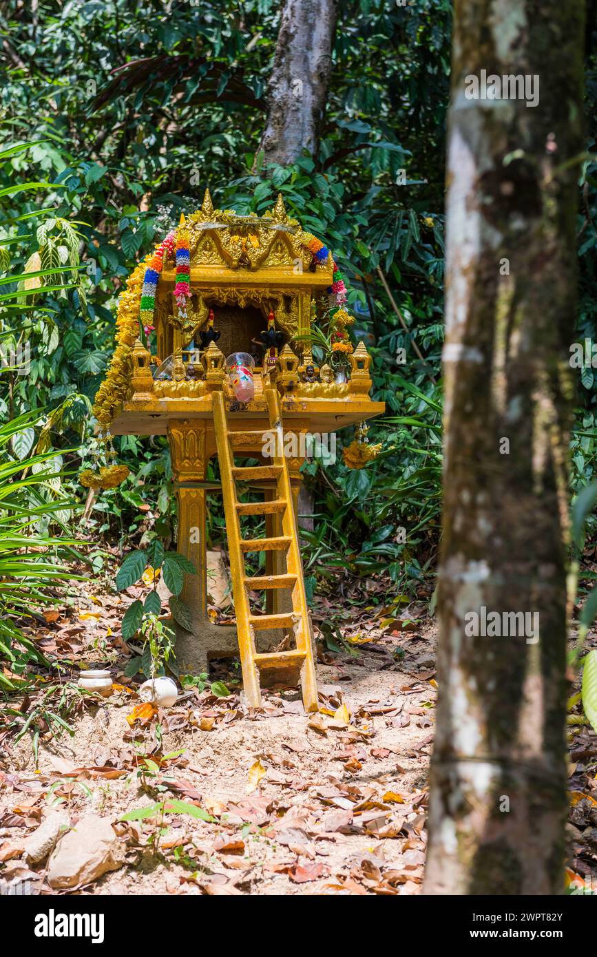 Temple bouddhiste dans la forêt tropicale, jungle, offrande, religion, bouddhisme, religion mondiale, statue, sculpture, culte, Dieu, icône, foi, croyez Banque D'Images