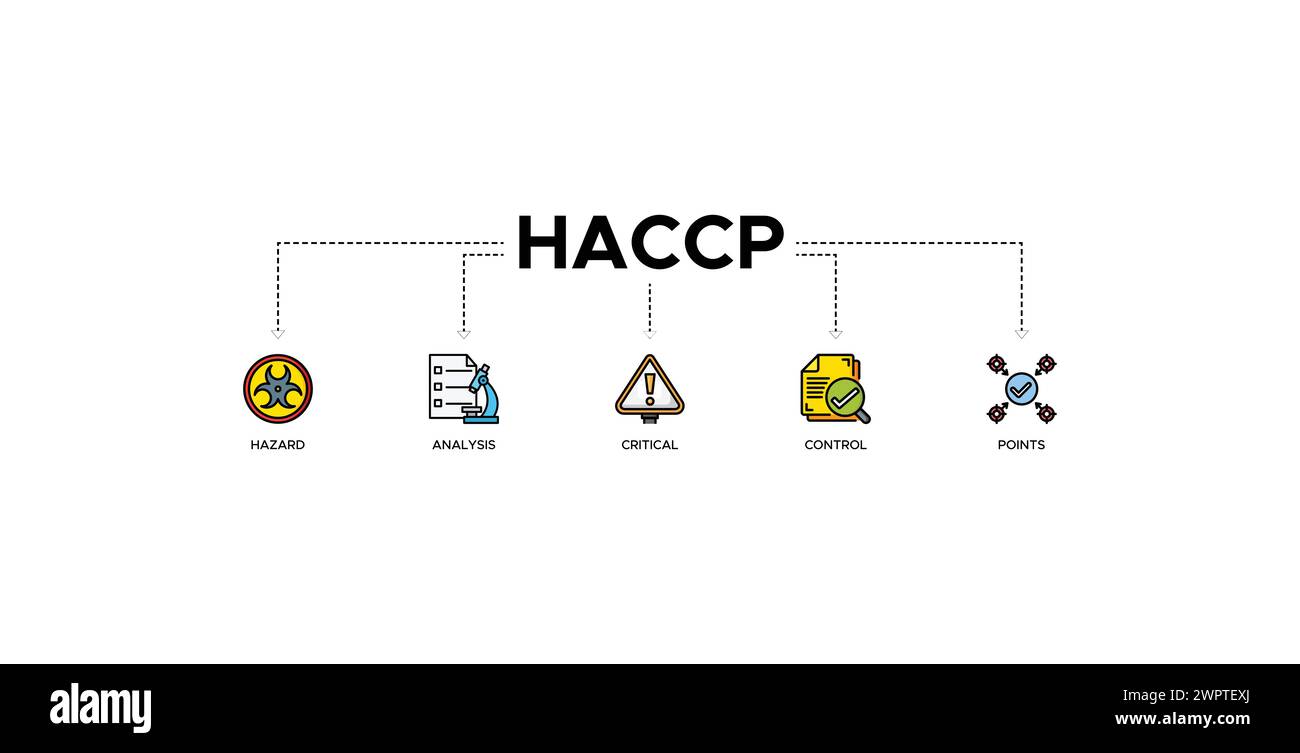 Bannière HACCP web icône vecteur illustration concept pour l'analyse des risques et les points critiques de contrôle acronyme dans le système de gestion de la sécurité alimentaire Illustration de Vecteur